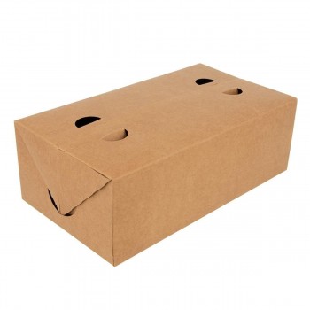 CAJA TAKE AWAY AUTOMONTABLE OUTLET - 13x23x8 CM